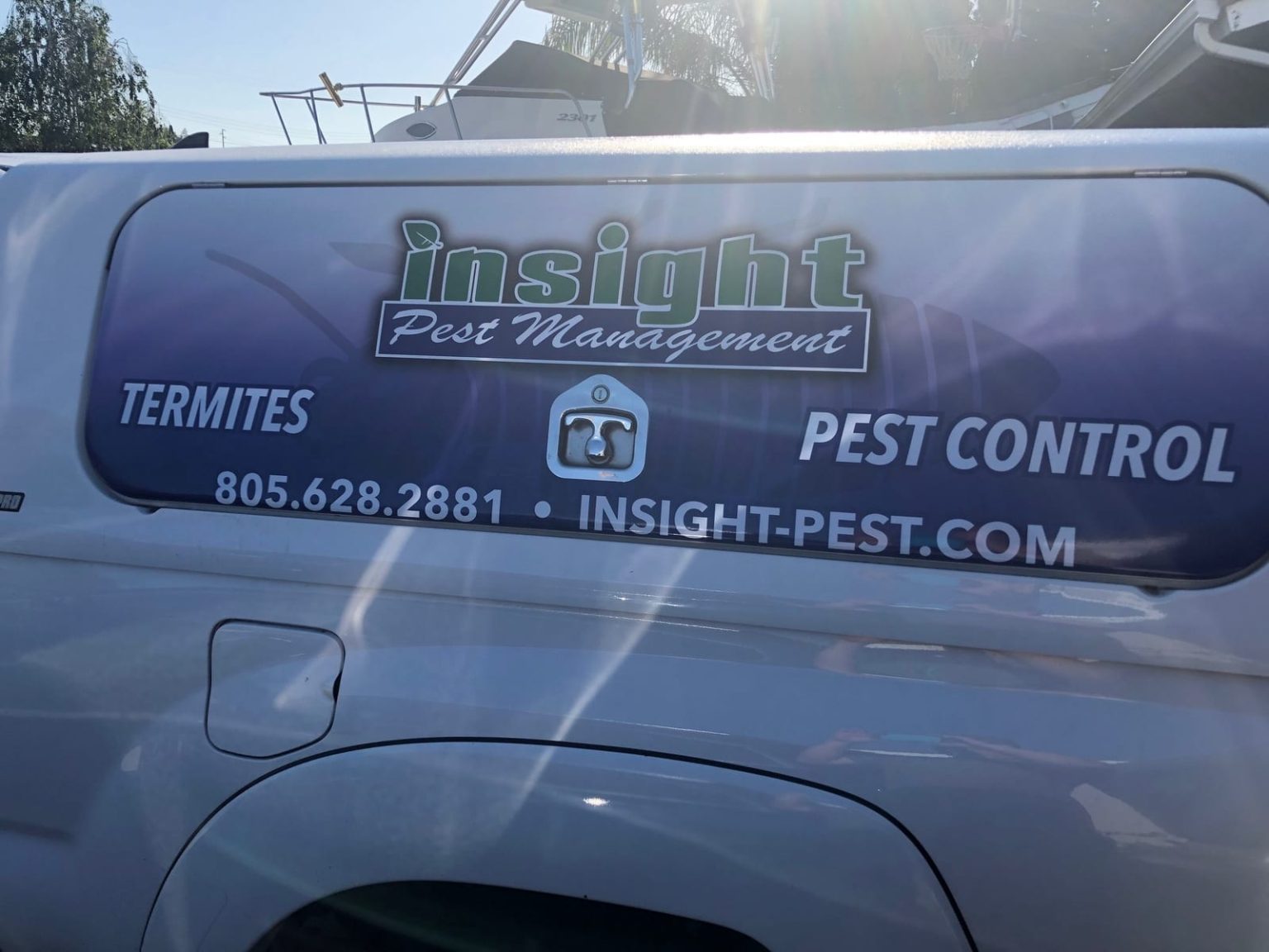 Pantry Pests • Insight Pest Management™