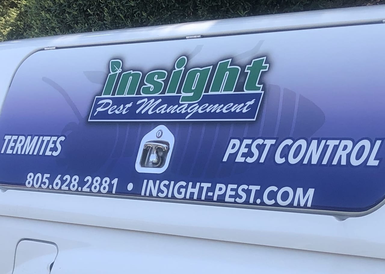 Pest & Termite Control