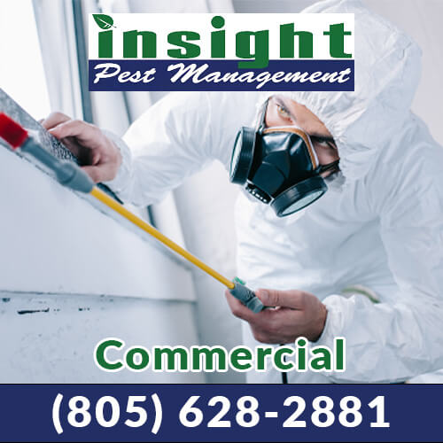 Commercial Pest Control in Ventura County Insight Pest Management™