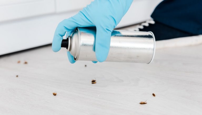 How to Keep Bugs Out of the House? • Insight Pest Management™