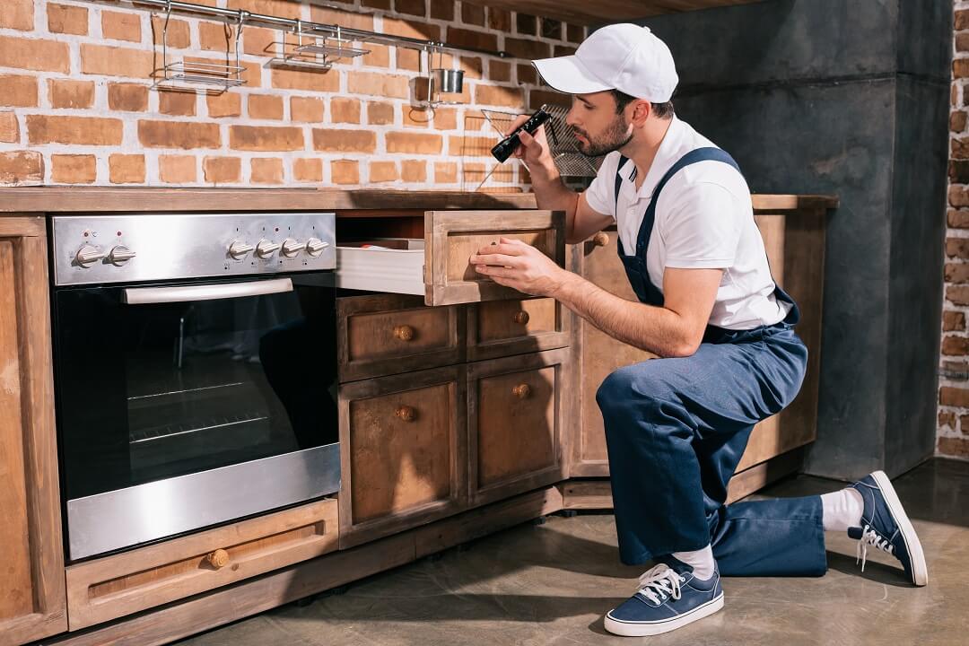 Pest control expert inspecting kitchen for ants