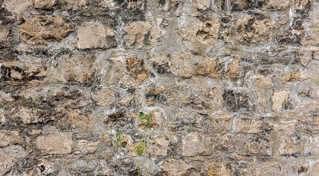 Can a House Mouse Climb Walls? Insight Pest Management™