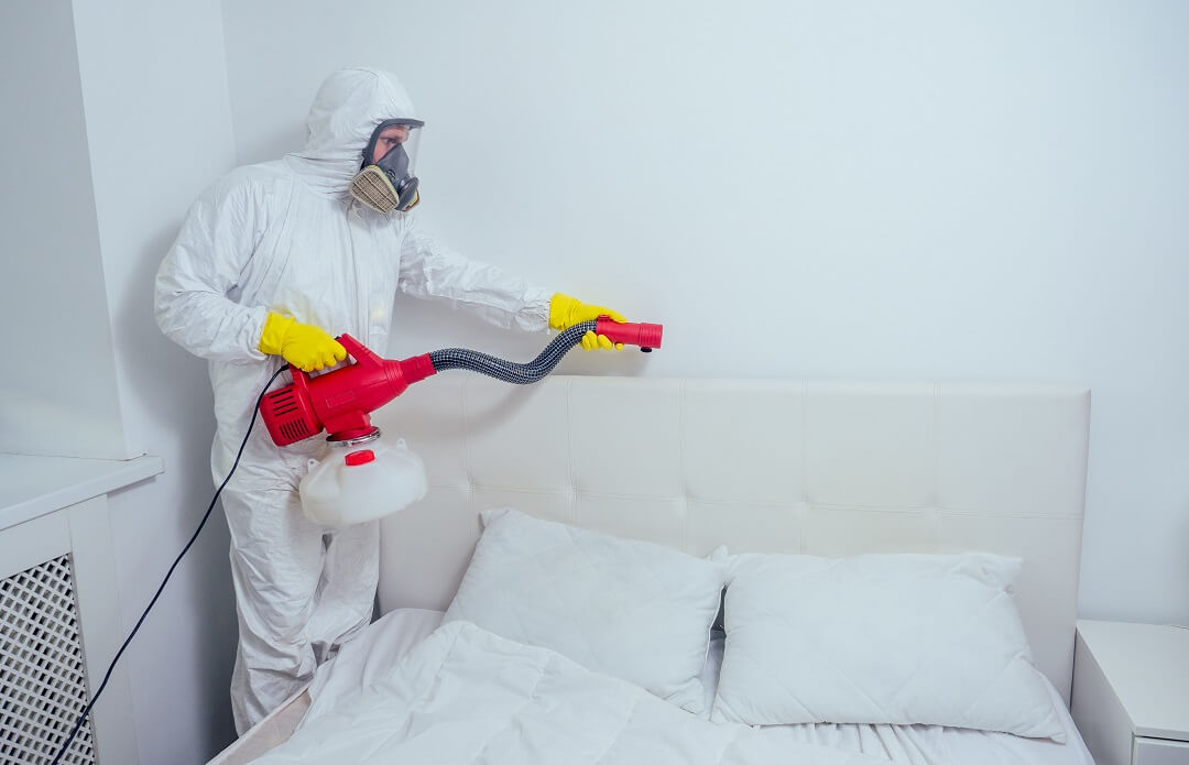 Pest control worker treating the room for bed bugs