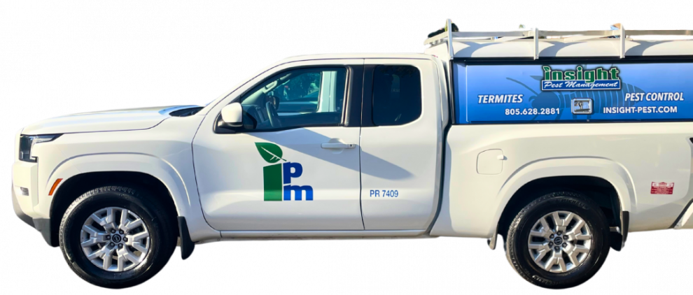 Calabasas Pest Control | Insight Pest Services