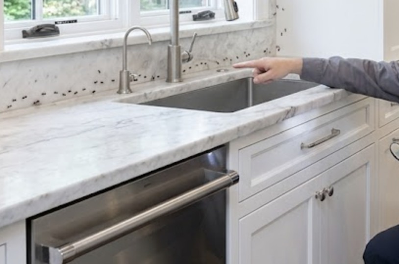 A kitchen in a Winnetka home with an Insight Pest Management technician identifying ant trails near the sink