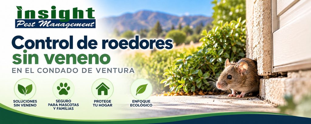 Control de roedores sin veneno en el condado de Ventura