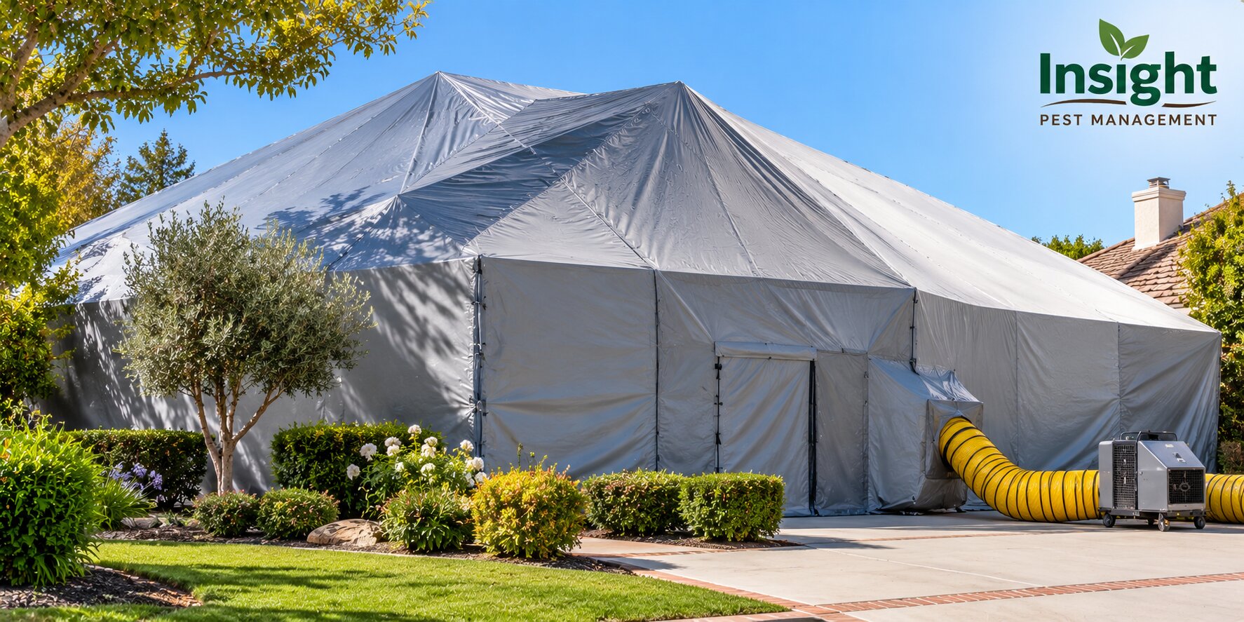 How Does Home Fumigation Work? A Step-by-Step Guide