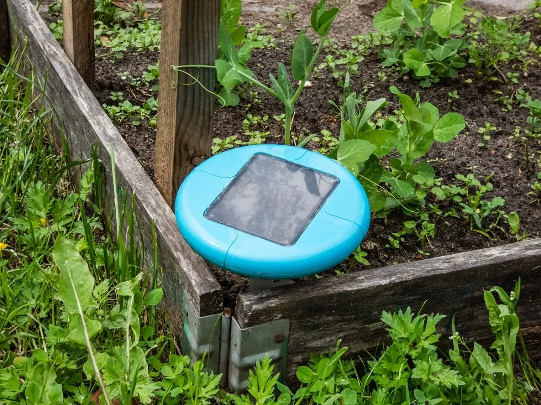 Blue electronic repellent