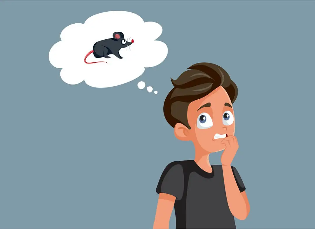 What Can a Rat Infestation Do to Your Health