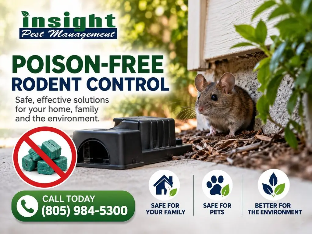 Poison Free Rodent Control in Ventura County